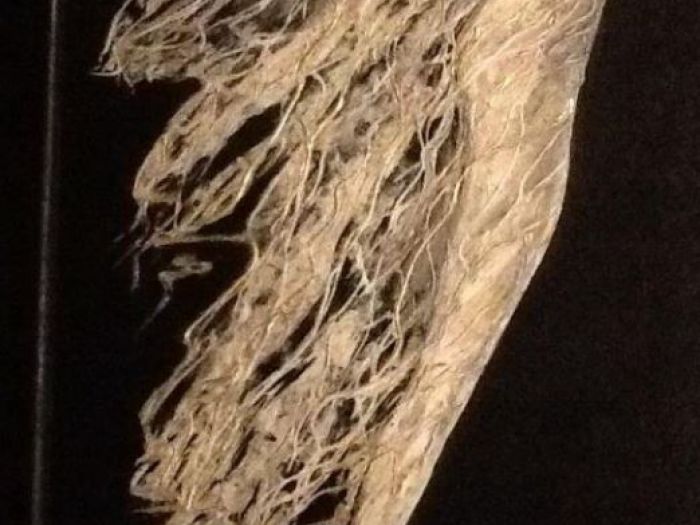 Archisio - Tecnoresine Di Giorgio Aquilanti - Progetto Sexy simbol