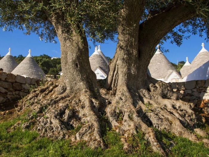 Archisio - Arkitetti Flore Venezia - Progetto Borgo canonica luxury hotel