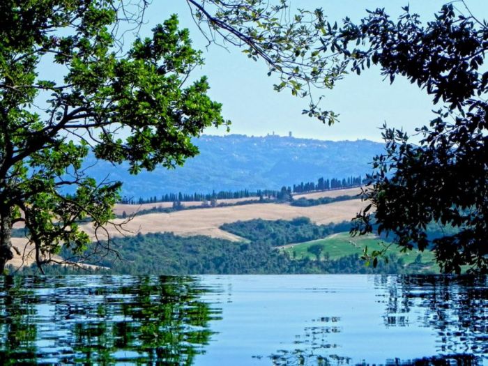 Archisio - Lorenzo Fusi - Progetto Piscina biodesign