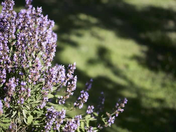 Archisio - Matteo Castelli Fotografia - Progetto Villa la cetina - siena
