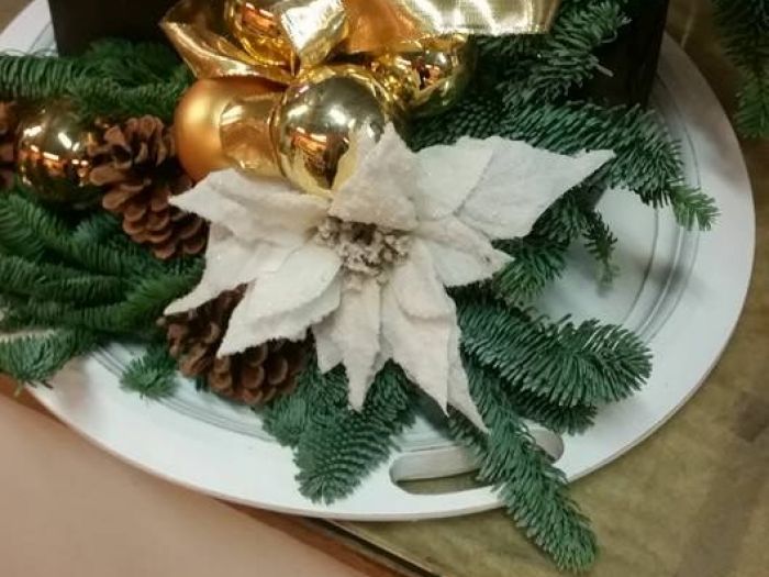 Archisio - Massarroni - Vivai Piante - Garden - Progetto Vivai e piante