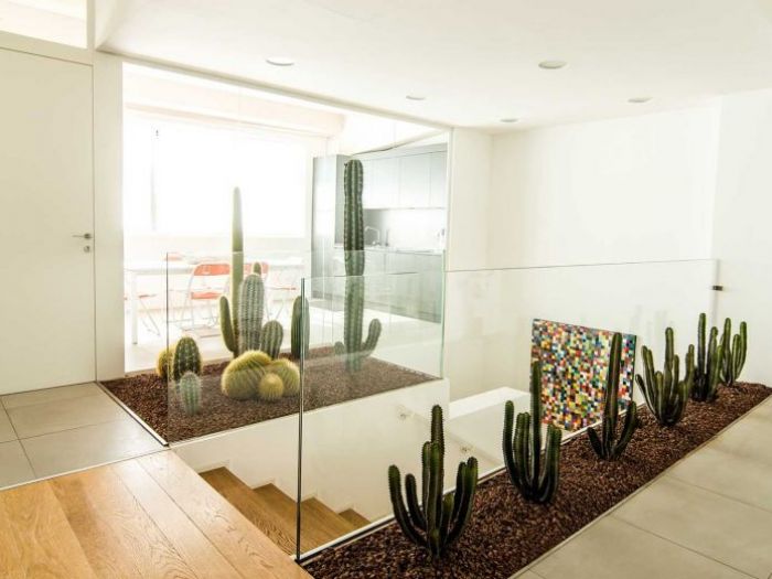 Archisio - Durante Ufficio - Progetto Maser formaggi