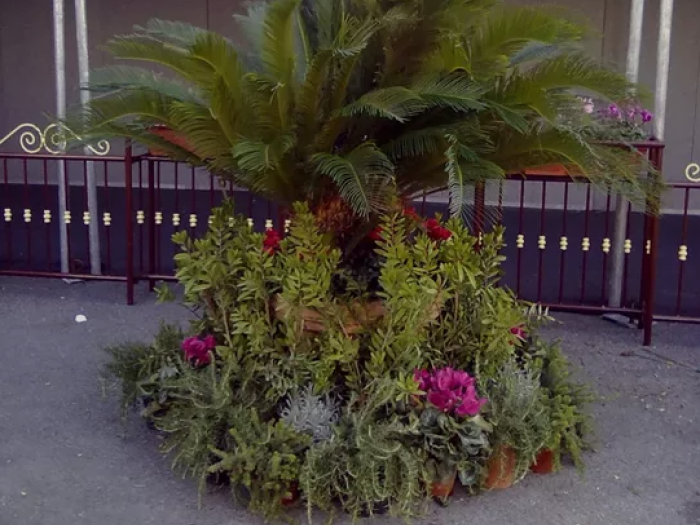 Archisio - Verdein Ss - Progetto Arredamento fiera