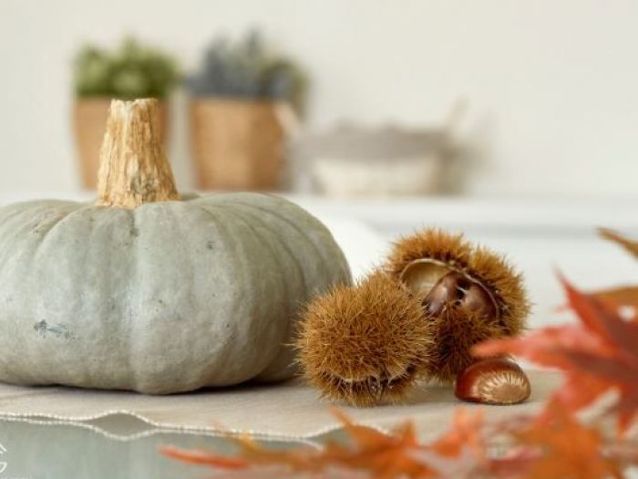 Archisio - Valentina Guarinelli - Progetto La tua vacanza vista lago