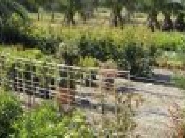 Archisio - Piante Macri - Progetto Serre di produzione