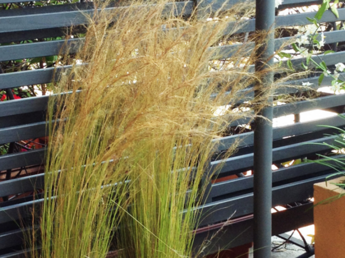 Archisio - Au Dehors Studio - Progetto Terrazzo in movimento