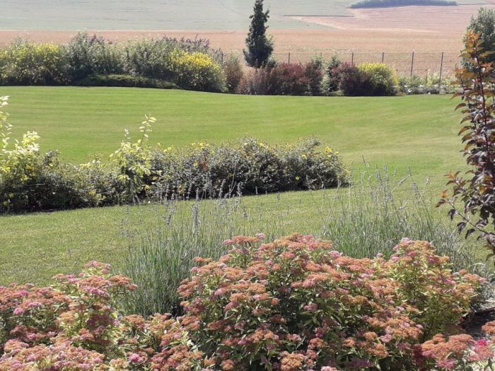 Archisio - Silvia Del Piano - Progetto Big country garden