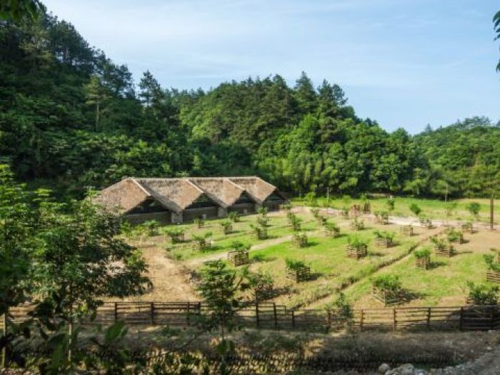 Archisio - Francesco Cantore - Progetto Progetti