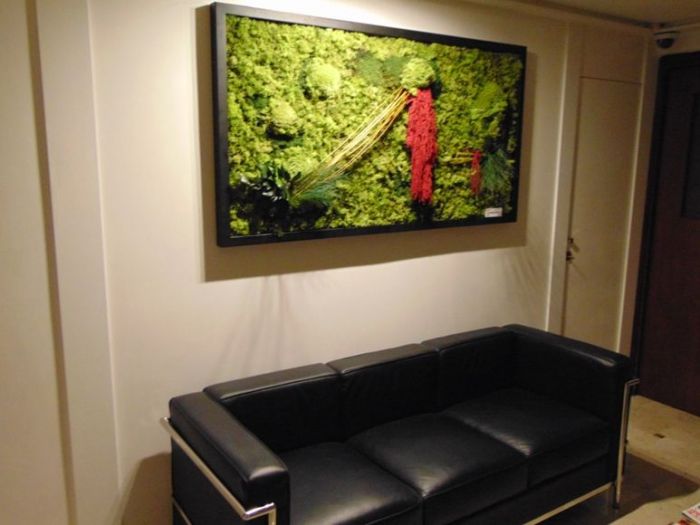 Archisio - Fiorissima Italiana srl - Progetto Quadri vegetali