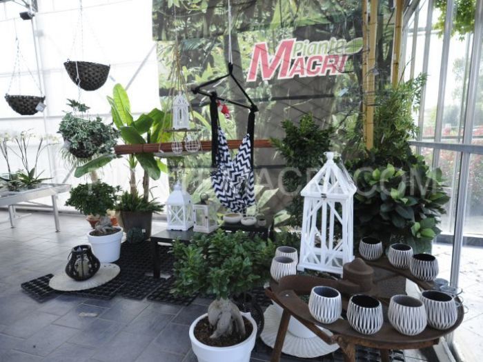 Archisio - Piante Macri - Progetto Il garden