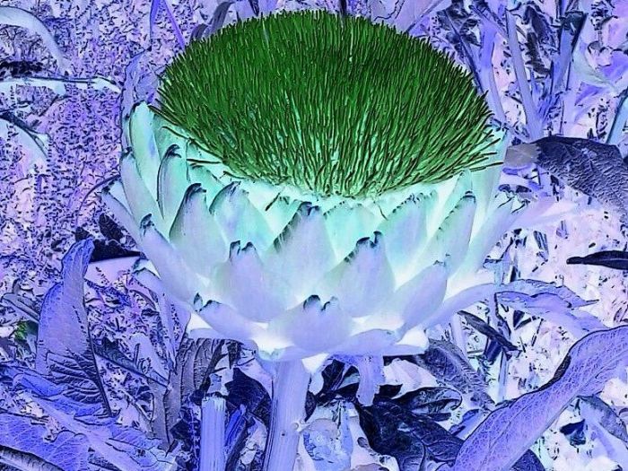 Archisio - Gianluca Vetrugno Meltem Kosan the Art Of The Negative - Artisti - Progetto Galleria 1 fotografie astratte