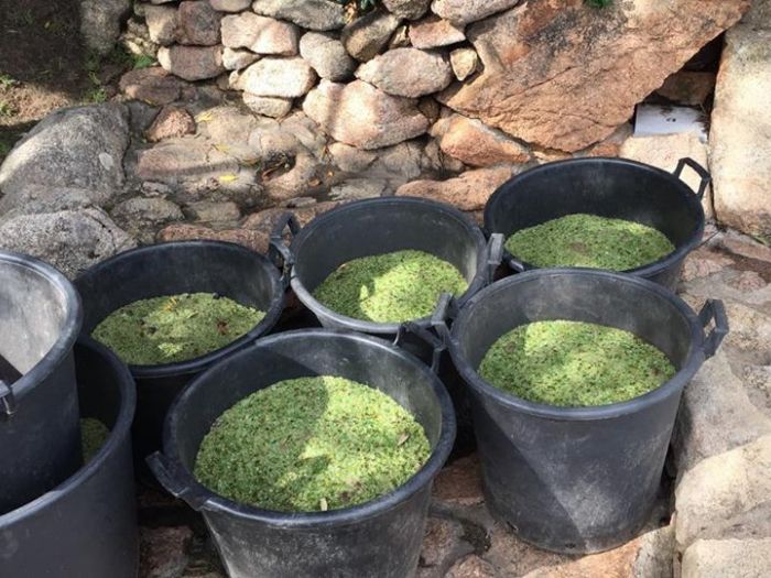 Archisio - Manca Gian Pietro - Progetto Piscine