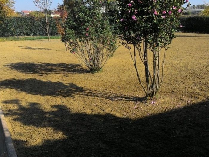 Archisio - Claudio Raiteri Verde Giardino - Progetto Irrigazione rigenerazione pratorigenerazione pratotree climbingisolamento solai