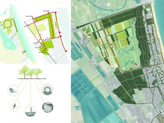 Archisio - Mm Studio - Progetto Milano marittima 20