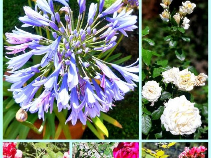 Archisio - Simone Scardigli - Progetto Casastudio