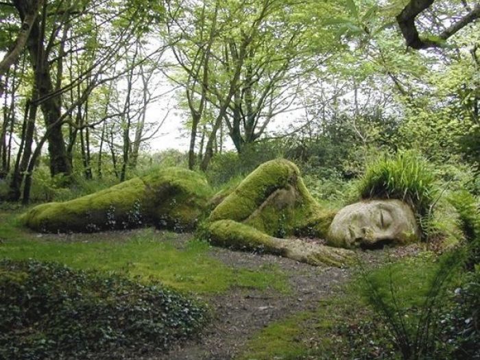 Archisio - Vivai Cantatore - Progetto Piante