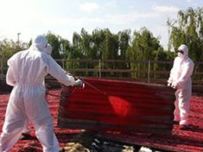 Archisio - Accademia Dei Metalli - Progetto Rimozione amianto