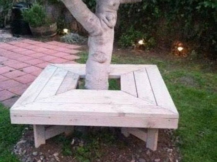 Archisio - Style Living - Progetto Strutture per alberi