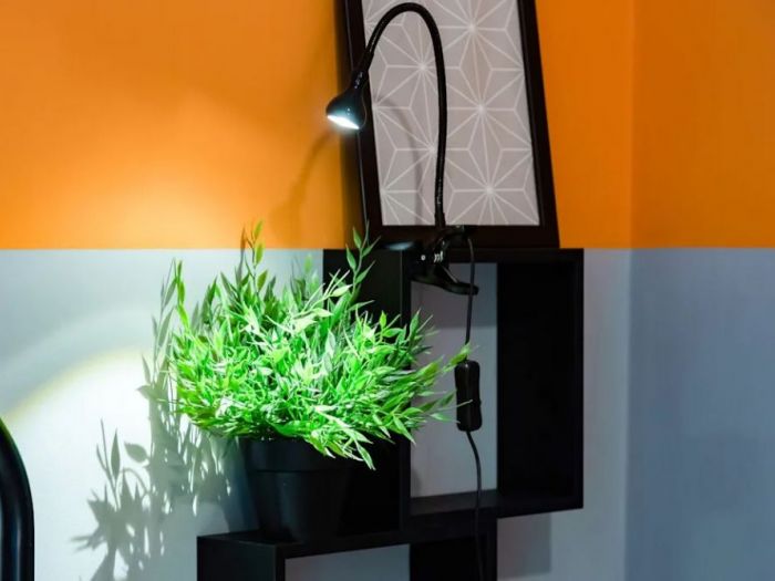 Archisio - Angela Paniccia - Progetto Appartamento adibito a casa vacanza