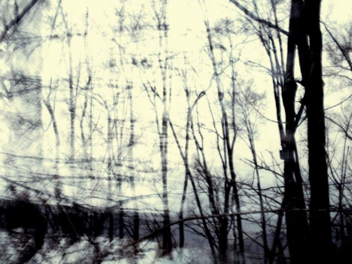 Archisio - Testadilegno - Progetto Foto