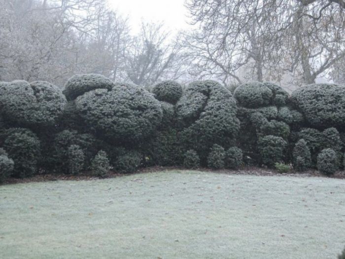 Archisio - Claudia Dibbe Piazza - Progetto Allinsegna di piet oudolf