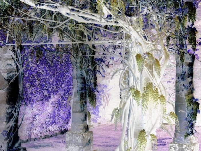 Archisio - Gianluca Vetrugno Meltem Kosan the Art Of The Negative - Artisti - Progetto Galleria 2 paesaggi