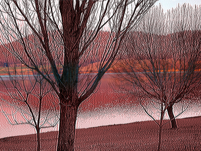 Archisio - Patrizia Savarese - Progetto Fotografia