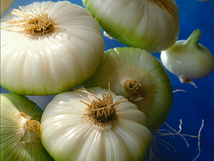 Archisio - Patrizia Savarese - Progetto Fotografia