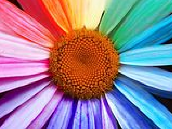 Archisio - Baroni Ermano - Progetto Realizziamo effetti per ogni stile o tipologia di ambiente