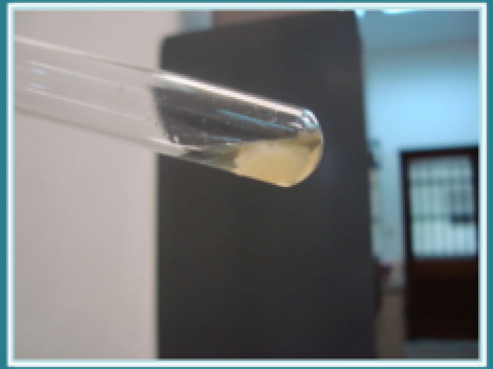 Archisio - Hydronatural - Progetto Analisi chimiche