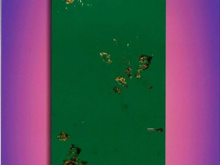 Archisio - Il Paradiso Della Parete - Progetto Porte decorate