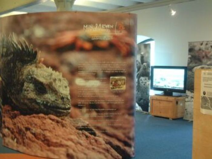 Archisio - Leolab - Progetto Minidarwin