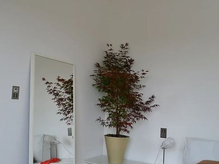 Archisio - Ristudio - Progetto Bcc verolavecchia