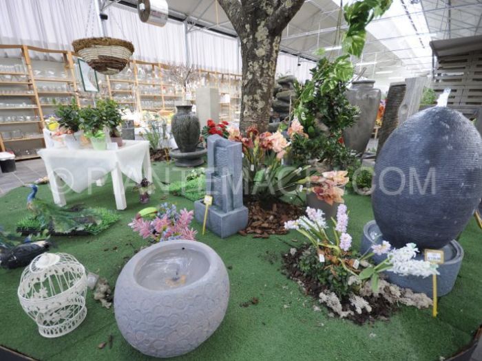 Archisio - Piante Macri - Progetto Il garden