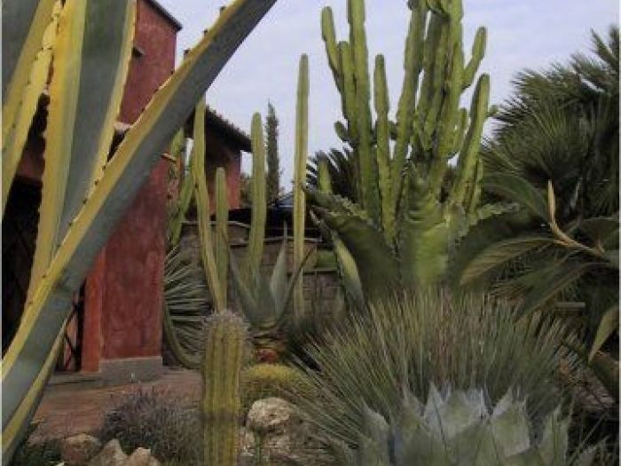 Archisio - Francesca Bertini - Progetto Colle delluliveto