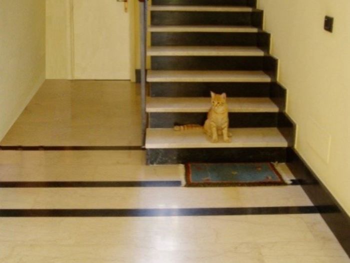 Archisio - Paolo Abelli - Progetto Ristrutturazone aloggio