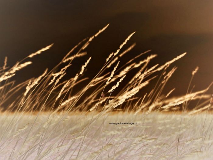 Archisio - Gianluca Vetrugno Meltem Kosan the Art Of The Negative - Artisti - Progetto Galleria 2 paesaggi