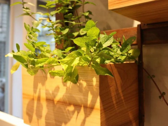 Archisio - Macrit Materie Creative Italiane - Progetto Green it orto domestico