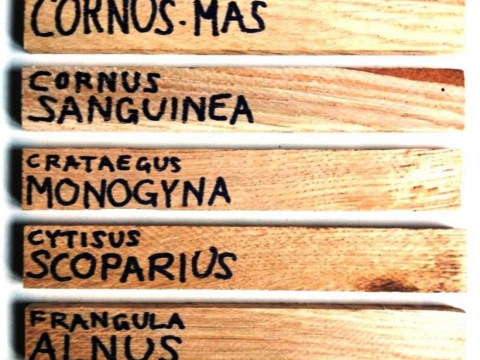 Archisio - Luca Righetto - Progetto Progettazione giardino didattico A scuola di sostenibilit