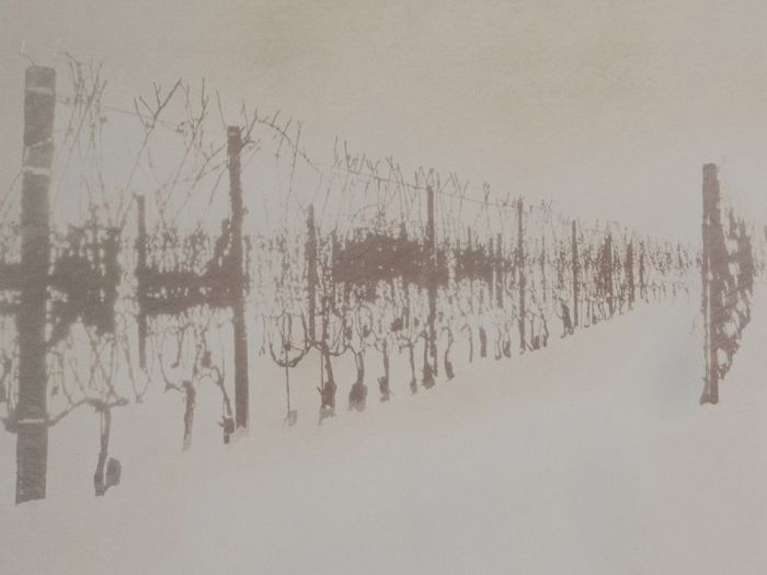 Archisio - Studio Cc - Progetto Prospettive prova dartista