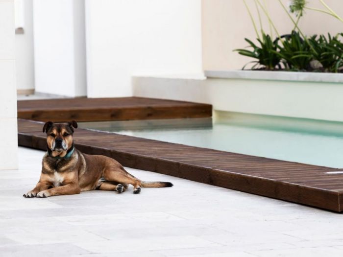 Archisio - Design Project - Progetto Villa privata