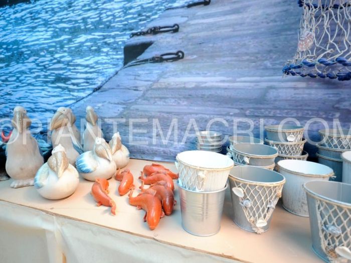 Archisio - Piante Macri - Progetto Il garden