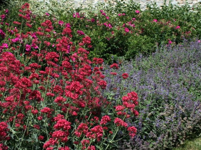 Archisio - Aapaesaggi - Progetto Giardino privato sulle colline eporediesi-terrazze sulle vigne