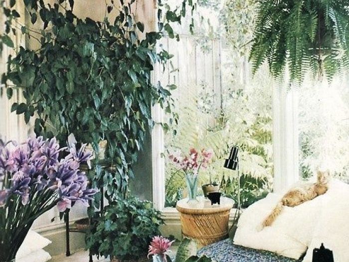 Archisio - Dotto Francesco Consulting Green - Progetto Crea ambiente salubre interno