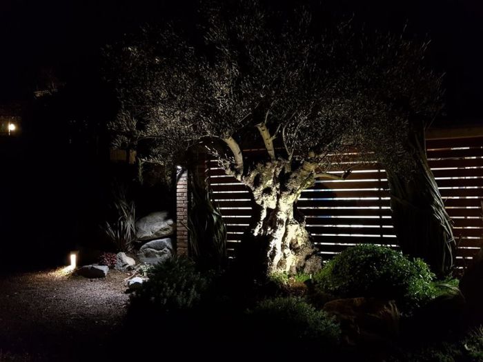 Archisio - Studio Mama - Progetto Giardini esterni