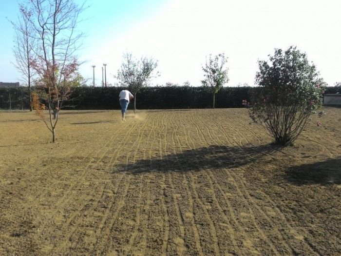 Archisio - Claudio Raiteri Verde Giardino - Progetto Irrigazione rigenerazione pratorigenerazione pratotree climbingisolamento solai