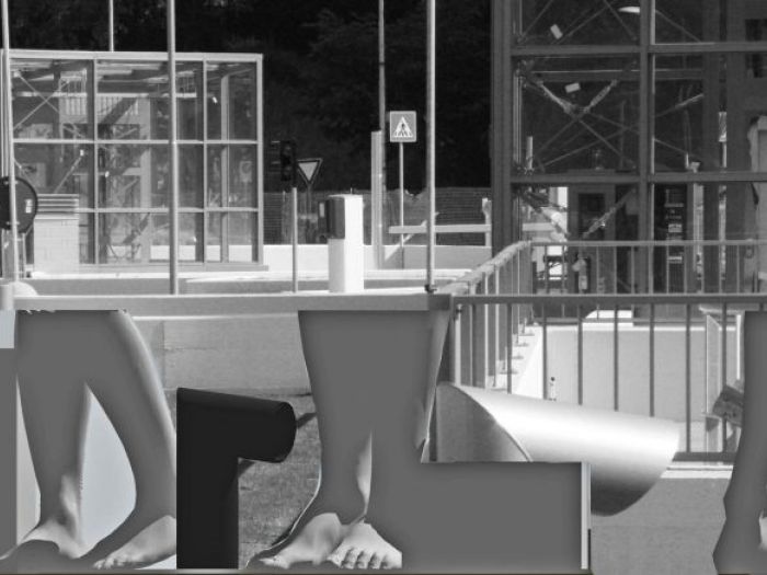 Archisio - Leolab - Progetto Pedibus-calcantibus