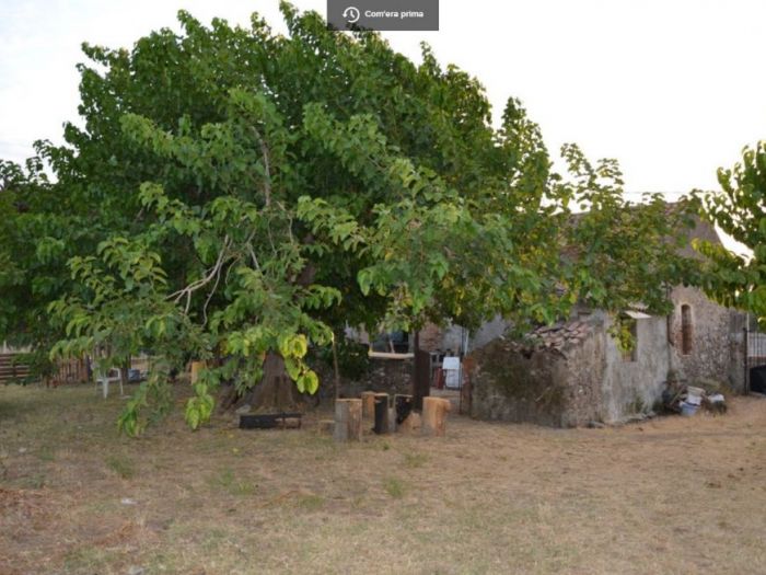 Archisio - Ar Studio Di Arch Luisa T Rosselli - Progetto Morus house dal giardino