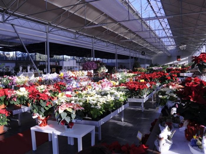 Archisio - Piante Macri - Progetto Il garden