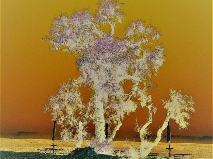 Archisio - Gianluca Vetrugno Meltem Kosan the Art Of The Negative - Artisti - Progetto Galleria 2 paesaggi